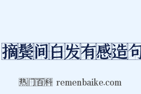 摘鬓间白发有感造句是什么意思的图片